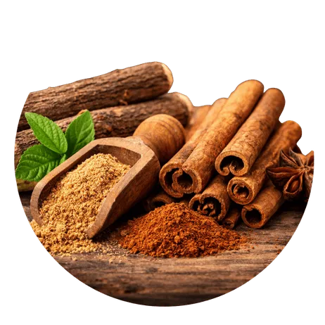 Cerebral Circulation Complex